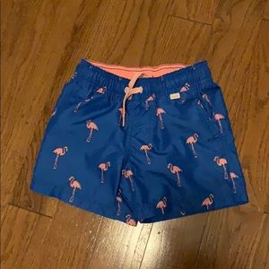 boys flamingo swim trunks